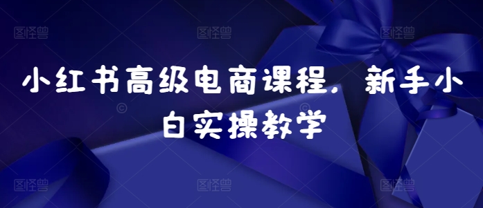 小红书高级电商课程，新手小白实操教学-91学习网