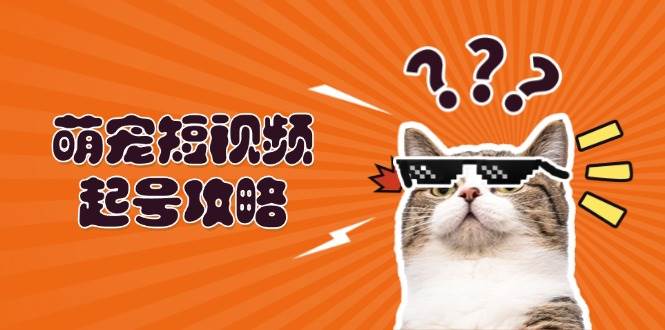 萌宠短视频起号攻略：定位搭建推流全解析，助力新手轻松打造爆款-91学习网