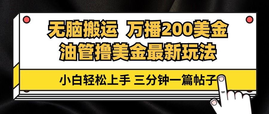 （13050期）油管无脑搬运撸美金玩法教学，万播200刀，三分钟一篇帖子，小白轻松上手-91学习网