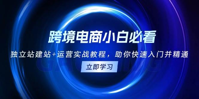 跨境电商小白必看！独立站建站+运营实战教程，助你快速入门并精通-91学习网