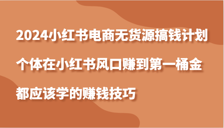 2024小红书电商无货源搞钱计划，个体在小红书风口赚到第一桶金应该学的赚钱技巧-91学习网