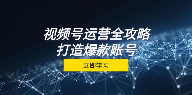 （12912期）视频号运营全攻略，从定位到成交一站式学习，视频号核心秘诀，打造爆款…-91学习网