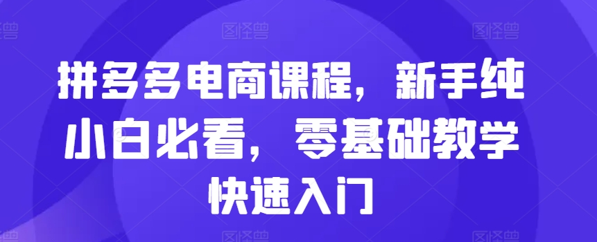 拼多多电商课程，新手纯小白必看，零基础教学快速入门-91学习网