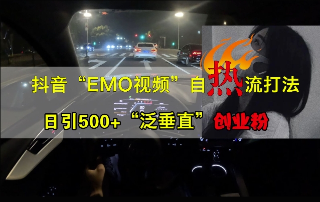 抖音EMO视频自热打法，日引500+“泛垂直”创业粉-91学习网