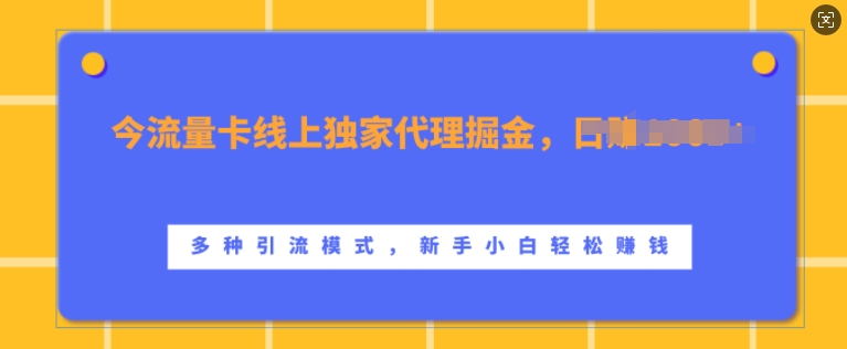 流量卡线上独家代理掘金，日入1k+ ，多种引流模式，新手小白轻松上手【揭秘】-91学习网