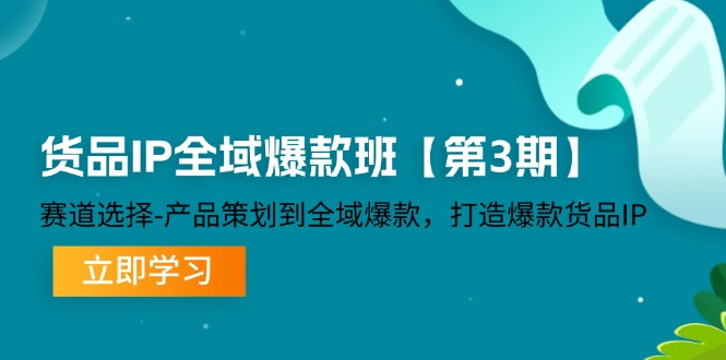 货品IP全域爆款班【第3期】赛道选择、产品策划到全域爆款，打造爆款货品IP-91学习网