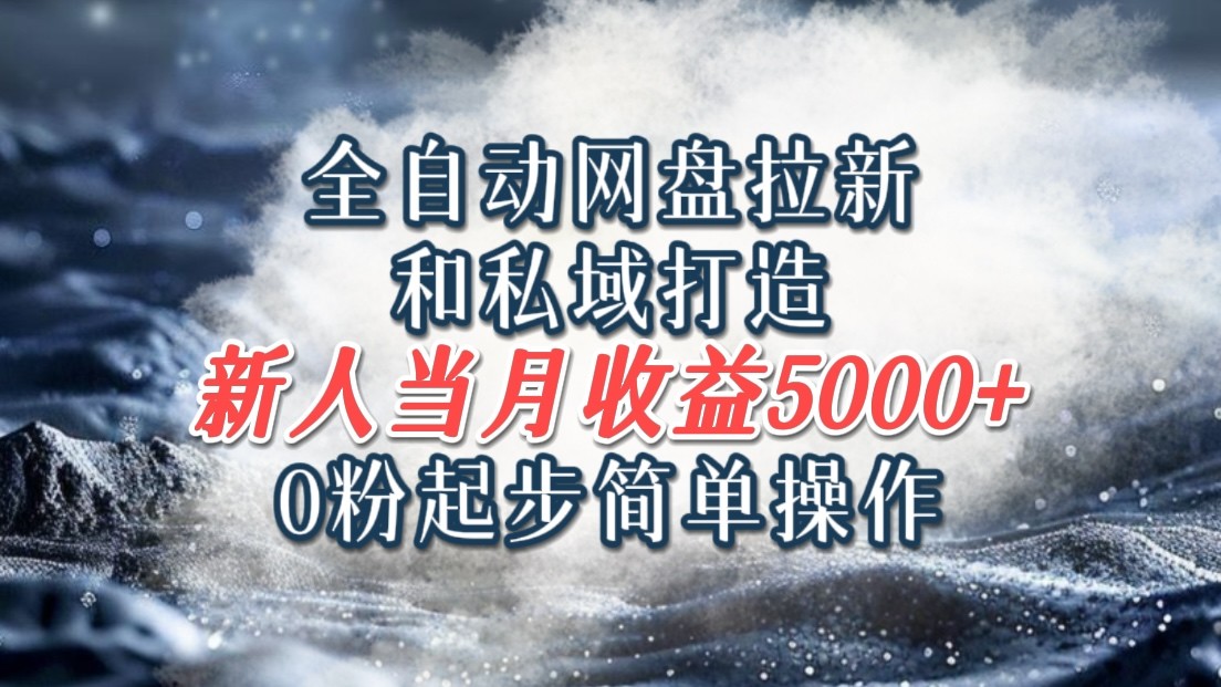 全自动网盘拉新和私域打造，0粉起步简单操作，新人入门当月收益5000以上-91学习网