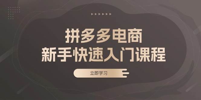 拼多多电商新手快速入门课程：涵盖基础、实战与选款，助力小白轻松上手-91学习网