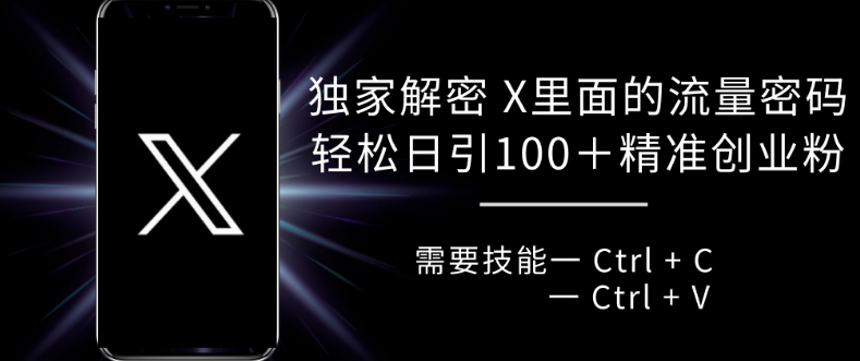 独家解密 X 里面的流量密码，复制粘贴轻松日引100+-91学习网