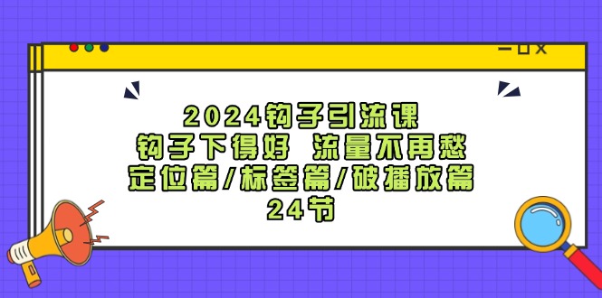 2024钩子引流课：钩子下得好流量不再愁，定位篇/标签篇/破播放篇/24节-91学习网