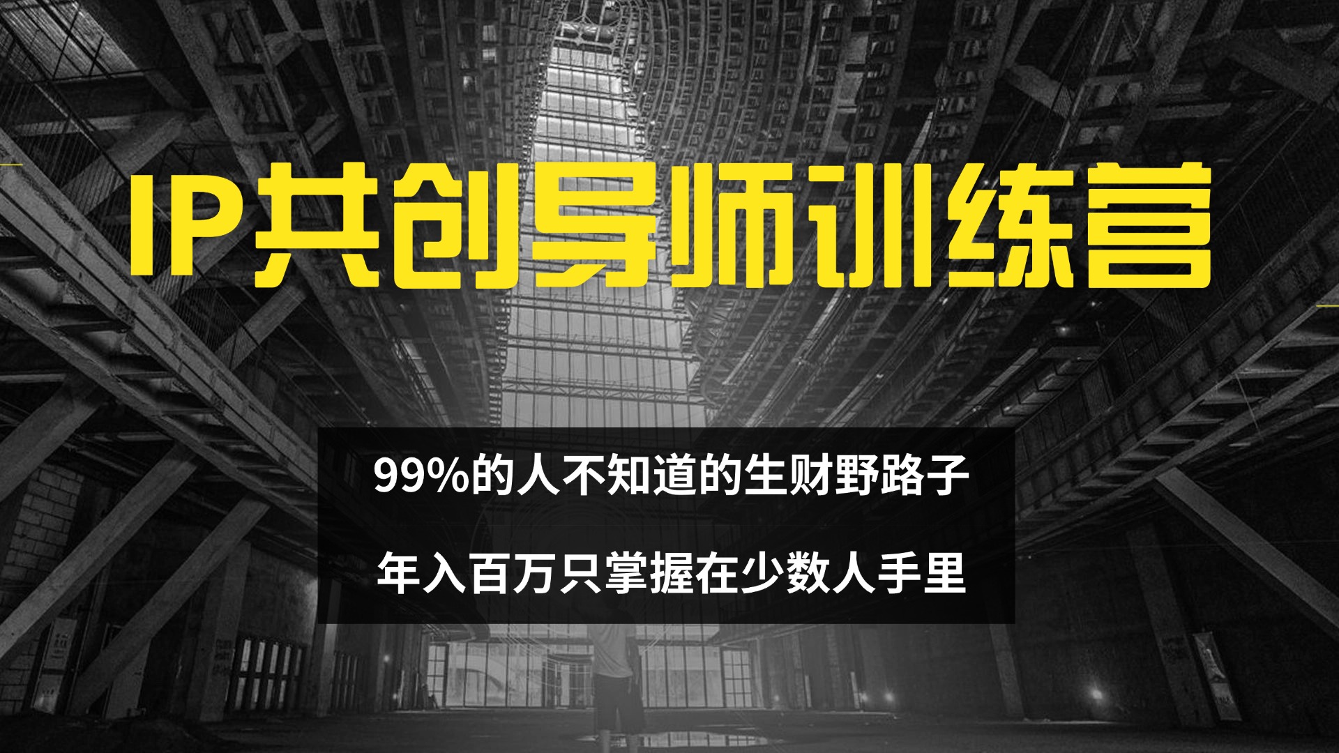 （12504期）IP共创导师训练营 99%的人不知道的生财野路子 只掌握在少数人手里-91学习网