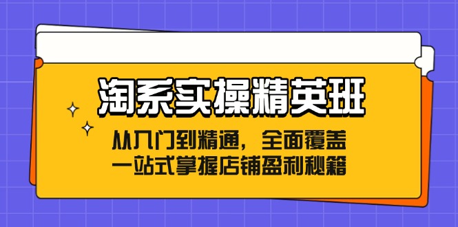 淘系实操精英班：从入门到精通，全面覆盖，一站式掌握店铺盈利秘籍-91学习网