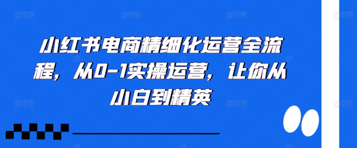 小红书电商精细化运营全流程，从0-1实操运营，让你从小白到精英-91学习网