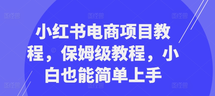 小红书电商项目教程，保姆级教程，小白也能简单上手-91学习网