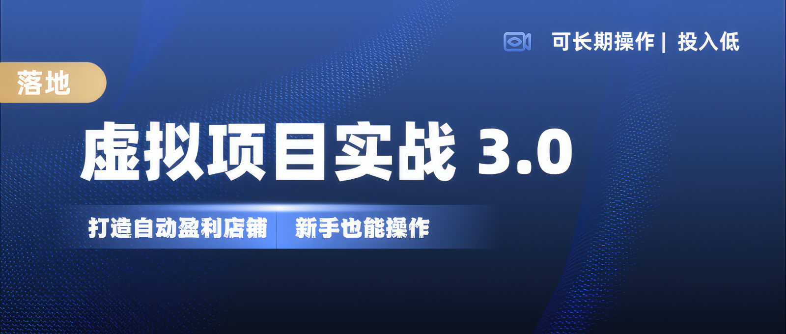 虚拟项目实操落地 3.0,新手轻松上手，单品月入1W+-91学习网