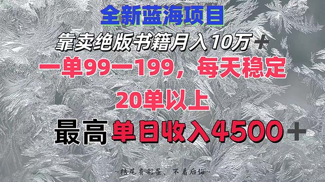 （12512期）靠卖绝版书籍月入10W+,一单99-199，一天平均20单以上，最高收益日入4500+-91学习网