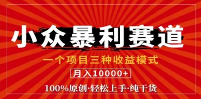 （12756期）视频号最新爆火赛道，三种可收益模式，0粉新号条条原创条条热门 日入1000+-91学习网