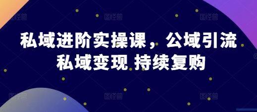 私域进阶实操课，公域引流 私域变现 持续复购-91学习网