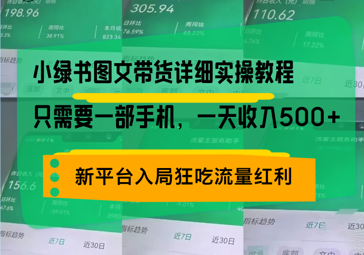 （13509期）小绿书图文带货详细实操教程，只需要一部手机，一天收入500+，轻松变现-91学习网