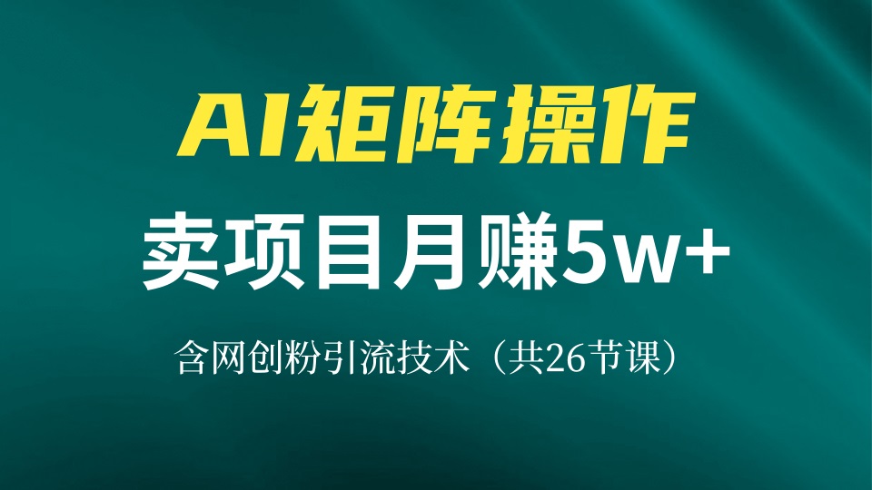 （13335期）网创IP打造课，借助AI卖项目月赚5万+，含引流技术（共26节课）-91学习网