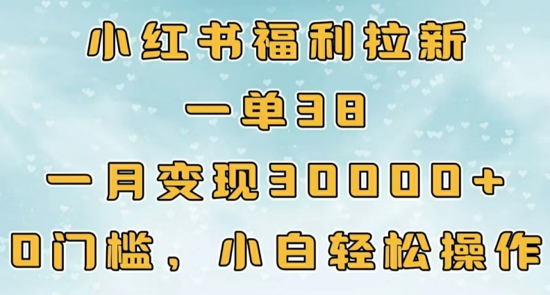 小红书福利拉新，一单38，一月3000+轻轻松松，0门槛小白轻松操作-91学习网