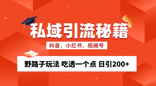 私域流量的精准化获客方法 野路子玩法 吃透一个点 日引200+ 【揭秘】-91学习网