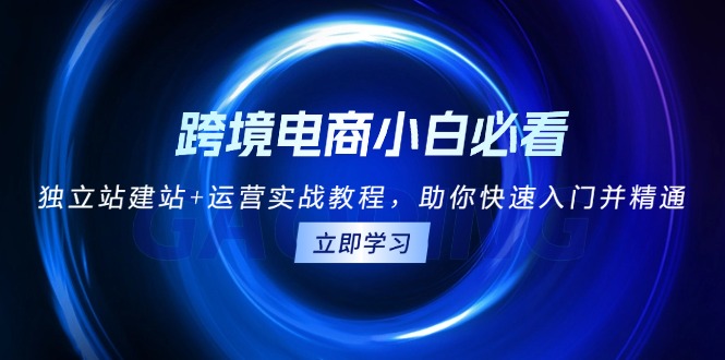 （13503期）跨境电商小白必看！独立站建站+运营实战教程，助你快速入门并精通-91学习网