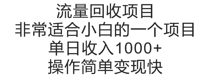 流量回收项目，非常适合小白的一个项目单日收入多张，操作简单变现快-91学习网