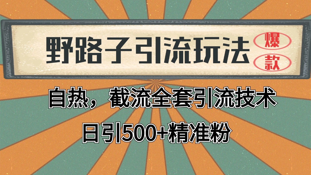 抖音小红书视频号全平台引流打法，全自动引流日引2000+精准客户-91学习网