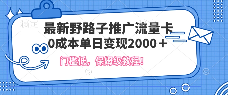 最新野路子推广流量卡，一张200-300，门槛低，0成本单日变现多张-91学习网