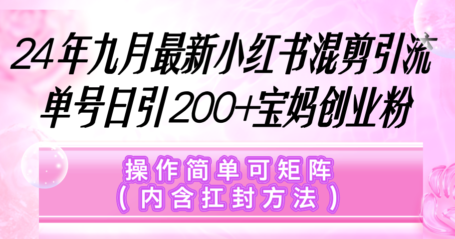 （12530期）小红书混剪引流，单号日引200+宝妈创业粉，操作简单可矩阵（内含扛封…-91学习网