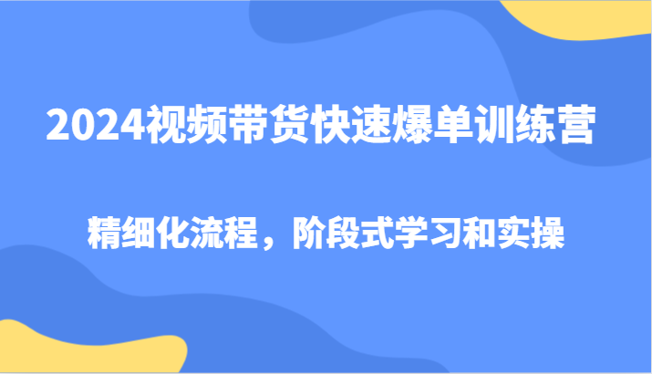 2024视频带货快速爆单训练营，精细化流程，阶段式学习和实操-91学习网