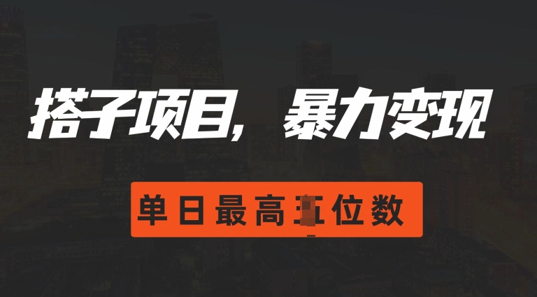 2024搭子玩法，0门槛，暴力变现，单日最高破四位数【揭秘】-91学习网