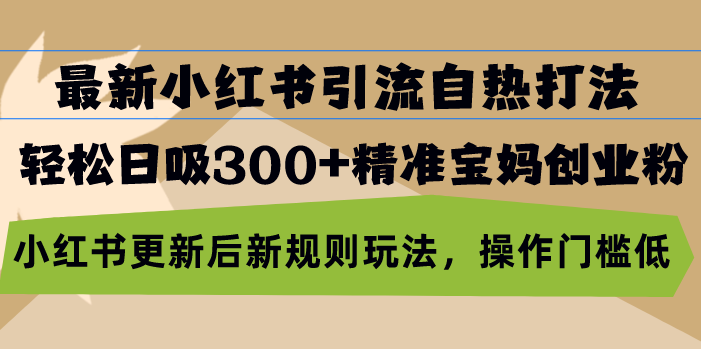 （13145期）最新小红书引流自热打法，轻松日吸300+精准宝妈创业粉，小红书更新后新…-91学习网