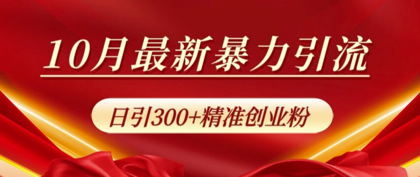 10月最新暴力引流，私域完美闭环，日引300+精准创业粉【揭秘】-91学习网