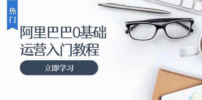 阿里巴巴运营零基础入门教程：涵盖开店、运营、推广，快速成为电商高手-91学习网