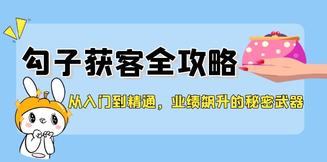 从入门到精通，勾子获客全攻略，业绩飙升的秘密武器-91学习网