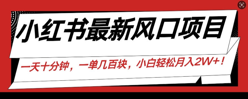 小红书最新风口项目，一天只用10分钟，一单几百块，小白简单无脑操作!-91学习网