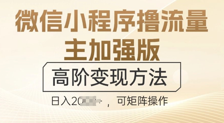 微信小程序撸流量主加强版，高阶变现方法，日收益多张-91学习网