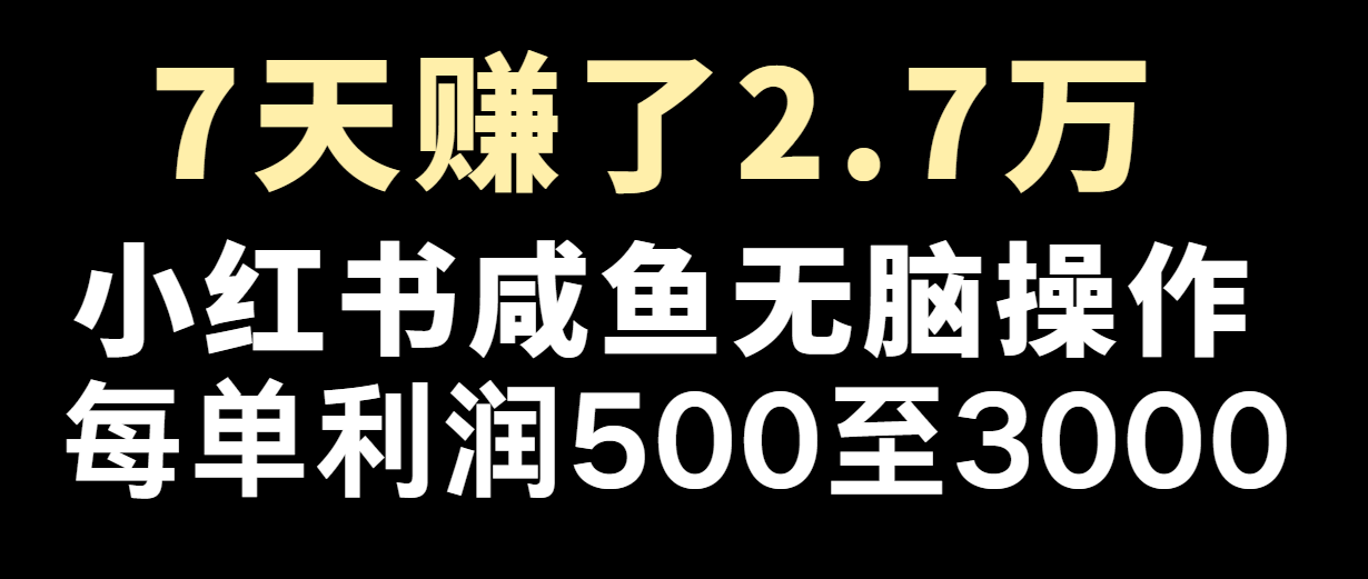 七天赚了2.7万！每单利润最少500+，轻松月入5万+小白有手就行-91学习网