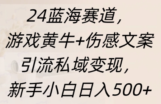 蓝海赛道，游戏黄牛+伤感文案引流私域变现，新手小白日入多张-91学习网