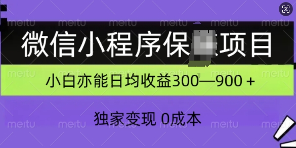 微信小程序保Z项目，独家变现，日均收益几张-91学习网