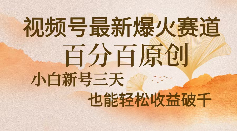 （13225期）视频号最新爆火赛道，中老年粉深信不疑，百分百原创，新号三天收益轻松…-91学习网