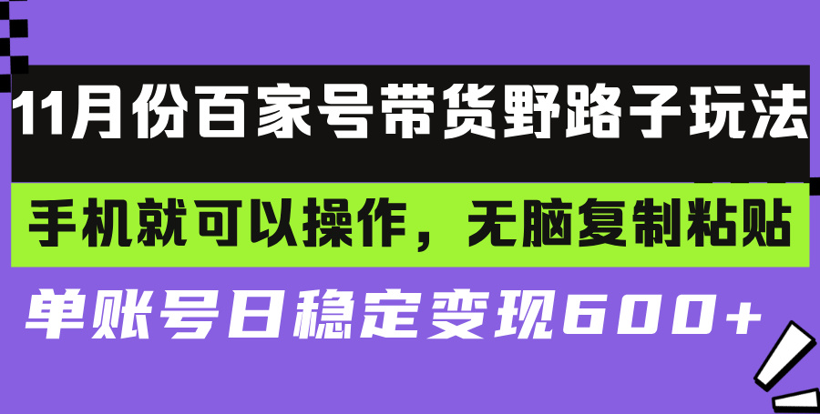 （13281期）百家号带货野路子玩法 手机就可以操作，无脑复制粘贴 单账号日稳定变现…-91学习网