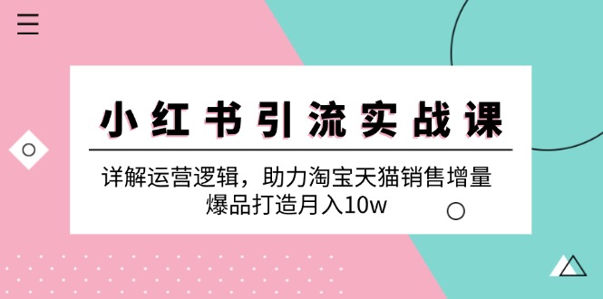 （12809期）小红书引流实战课：详解运营逻辑，助力淘宝天猫销售增量，爆品打造月入10w-91学习网