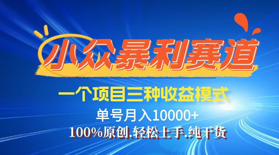 （12579期）【老人言】-视频号爆火赛道，三种变现方式，0粉新号调调爆款-91学习网