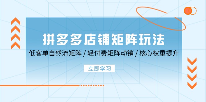 拼多多店铺矩阵玩法：低客单自然流矩阵 / 轻付费矩阵 动销 / 核心权重提升-91学习网