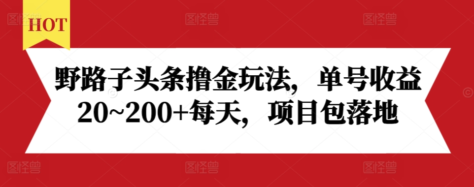 野路子头条撸金玩法，单号收益20~200+每天，项目包落地-91学习网