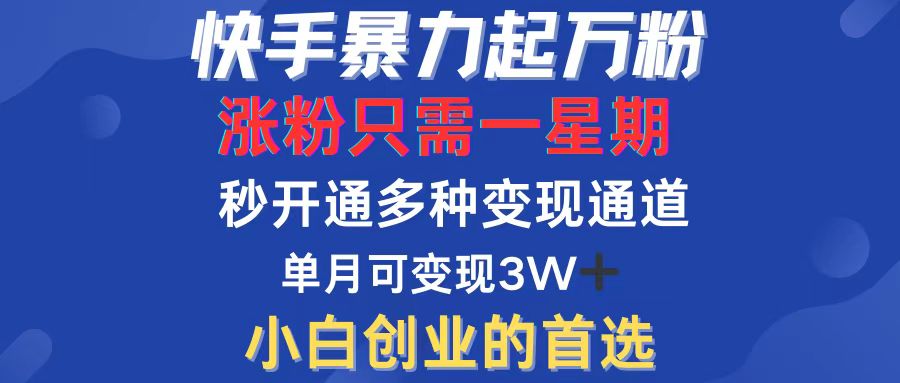 （12651期）快手暴力起万粉，涨粉只需一星期，多种变现模式，直接秒开万合，小白创…-91学习网