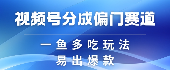 视频号创作者分成计划偏门类目，容易爆流，实拍内容简单易做【揭秘】-91学习网